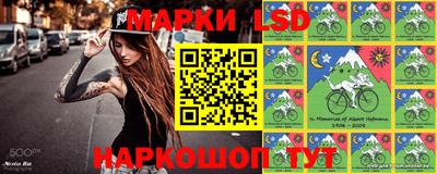 гашик Бердск
