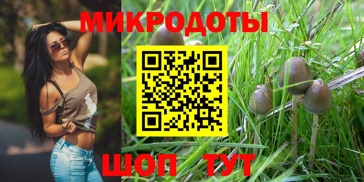 Псилоцибиновые грибы Cubensis  Вход с VPN  сколько стоит  Галлюциногенные грибы мухоморы  Новочебоксарск 